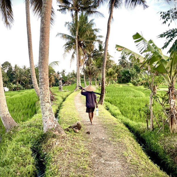 10 vegan-friendly warungs in Ubud, Bali